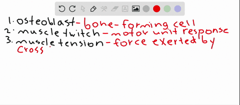 match-the-words-with-their-defining-feature-______osteoblast-______muscle-twitch-______muscle-tensio