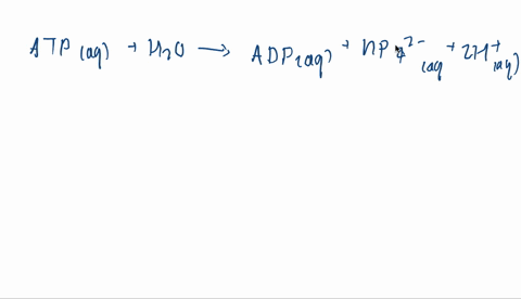 how-many-moles-of-atp-must-be-converted-to-adp-by-the-reaction-mathrmatpa-qmathrmh_2-mathrmo-longrig