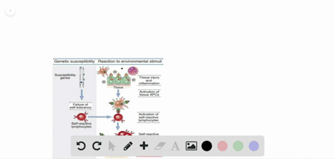 what-is-the-definition-of-autoimmunity-a-binding-of-an-antibody-to-a-viral-antigen-b-immune-response