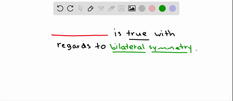 bilateral-symmetry-a-is-found-only-among-bilaterians-b-is-characteristic-of-all-sponges-c-is-charact