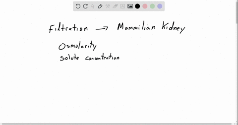 in-the-mammalian-kidney-filtration-is-mainly-driven-by-the-a-solute-concentration-in-the-tubular-f-2