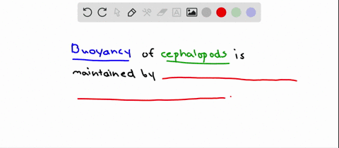 cephalopods-control-their-buoyancy-by-a-adjusting-salt-concentrations-in-their-blood-b-forcibly-expe