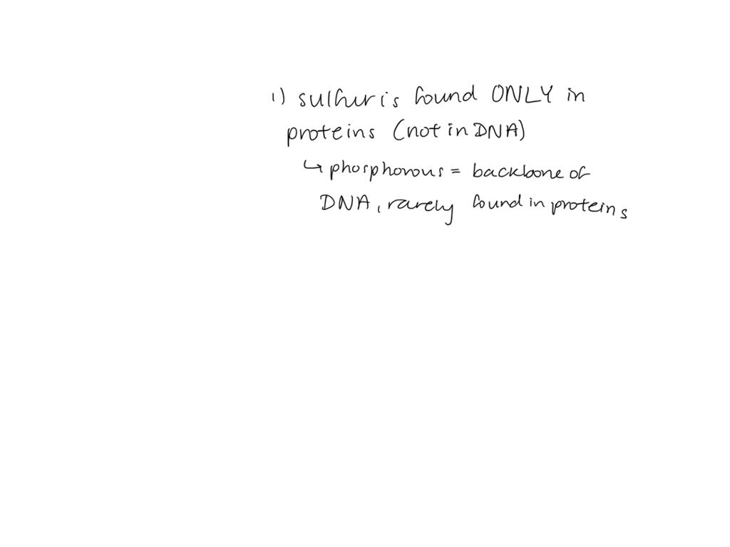 SOLVEDNitrogen and carbon are more abundant in proteins than sulfur