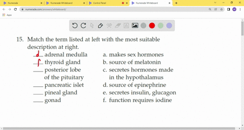match-the-term-listed-at-left-with-the-most-suitable-description-at-right-adrenal-medulla-a-makes-se