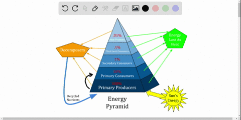 efficiency-of-energy-transfers-in-aquatic-ecosystems-is-typically-higher-than-in-land-ecosystems-bec