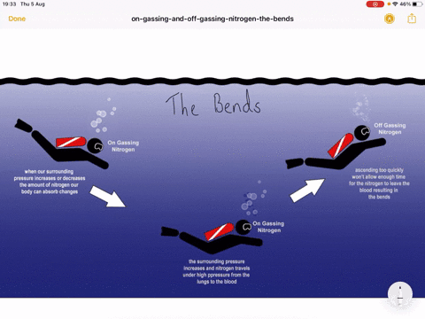 when-a-diver-ascends-too-rapidly-a-bronchial-constriction-occurs-b-a-diving-reflex-is-activated-c--6