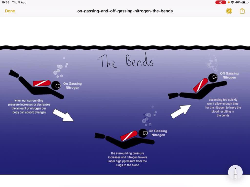 SOLVEDWhen a diver ascends too rapidly, (a) bronchial constriction