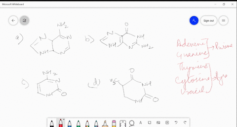 identify-structure-of-guanine