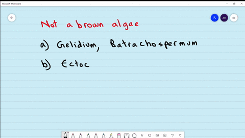 which-out-of-the-following-does-not-belong-to-brown-algae-a-gelidium-batrachospermum-b-ectocarpus-di