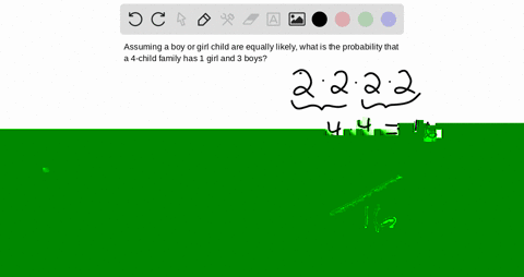 assume-equally-likely-outcomes-determine-the-probability-of-having-1-girl-and-3-boys-in-a-4-child--2
