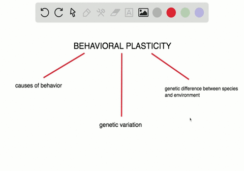 with-behavioral-plasticity-behavior-varies-depending-on-________-a-the-time-of-day-b-an-individuals-