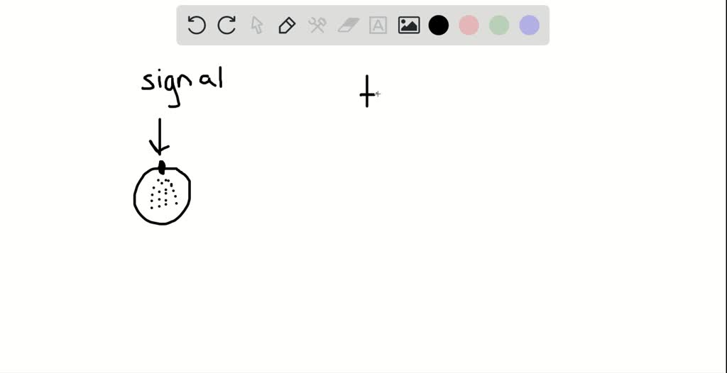 ⏩SOLVED:Define biological amplification. Discuss its significance ...