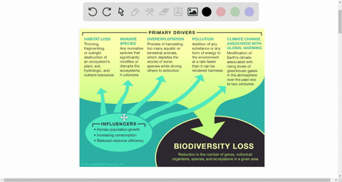 describe-the-mechanisms-by-which-human-population-growth-and-resource-use-causes-increased-extinctio