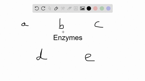 which-of-the-following-statements-is-true-concerning-enzymes-a-they-always-require-a-coenzyme-b-they