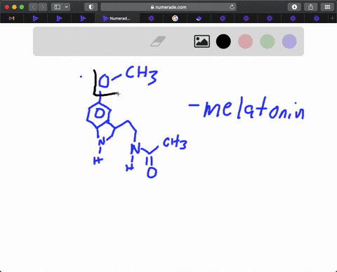 melatonin-is-a-naturally-occurring-compound-in-plants-and-animals-where-it-regulates-the-biologica-5