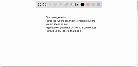 gluconeogenesis-a-occurs-when-the-liver-synthesizes-glucose-from-noncarbohydrate-precursors-b-is-the