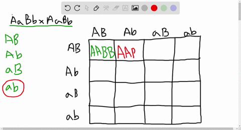 what-is-the-chance-that-a-dihybrid-cross-will-produce-a-homozygous-recessive-in-both-traits-a-9-16-b