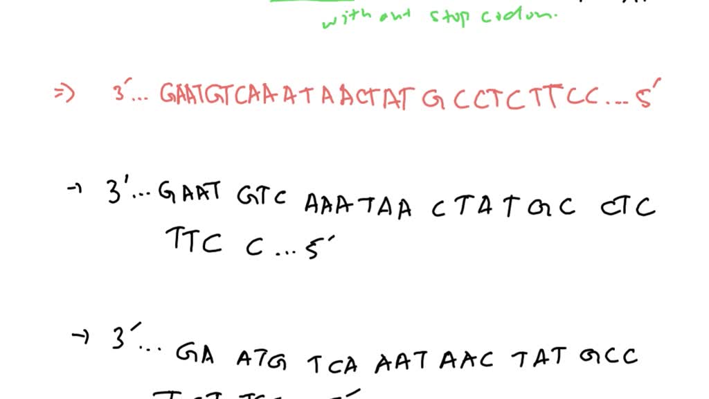 SOLVED:A portion of DNA from a phage genome is shown. a. How many ...