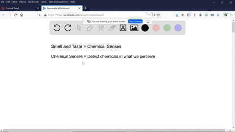 smell-and-taste-are-called-______-because-_______-a-energy-senses-they-send-impulses-to-the-brain-in