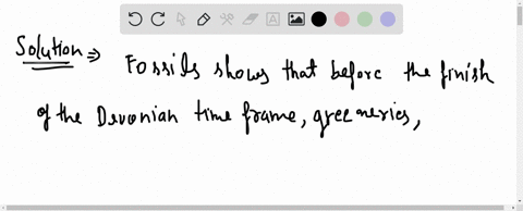 describe-a-minimum-of-two-ways-that-plants-changed-the-land-environment-to-support-the-emergence-of-