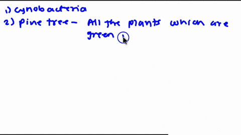 all-of-the-following-are-examples-of-organisms-that-can-photosynthesize-except-a-cyanobacteria-b-pin