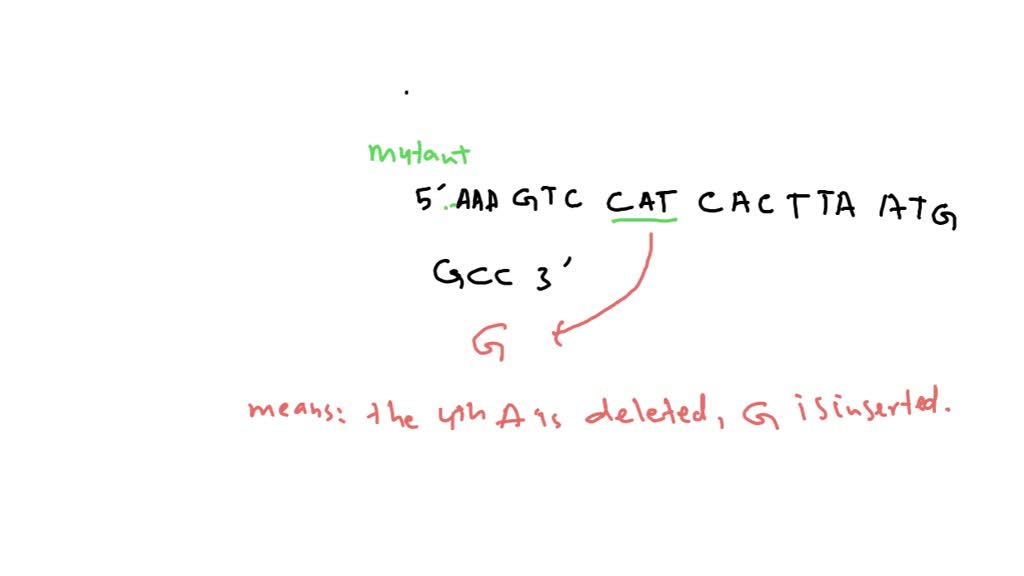 crick and brenner experiment explained