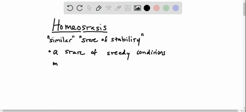 what-is-homeostasis-and-how-is-it-important