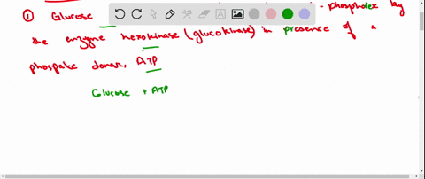 explain-why-the-glycogen-phosphorylase-reaction-leftdelta-gcirc-primeright-31-mathrmkj-cdot-mathrmmo