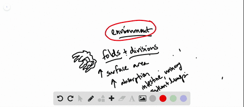 describe-ways-in-which-the-bodies-of-complex-animals-are-structured-for-exchanging-materials-with-2