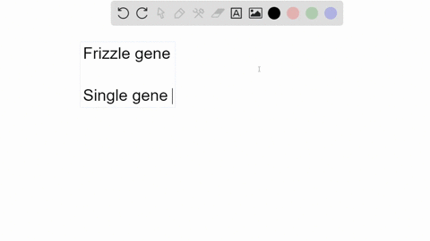 in-chickens-a-mutant-gene-called-frizzle-causes-not-only-feathers-that-curl-outward-like-a-labradood
