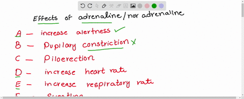 a-increase-alertness-b-pupilary-constriction-c-piloerection-d-increase-heart-rate-e-increase-respira
