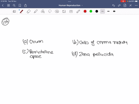 what-is-indicated-by-b-in-the-figure-a-ovum-b-cells-of-corona-radiata-c-perivitelline-space-d-zona-p