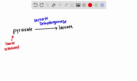 what-is-the-metabolic-purpose-of-lactic-acid-production-2