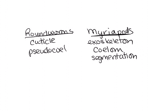 discuss-the-features-that-differentiate-myriapods-from-roundworms