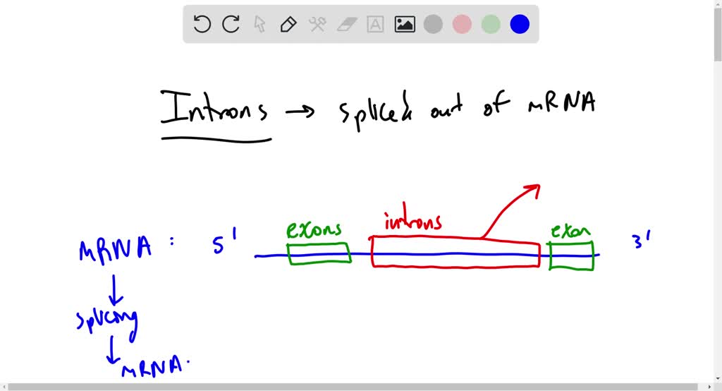 SOLVED: are the linear sequences of nucleotides in an organism’s ...