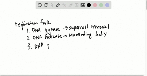 arrange-the-following-enzymes-in-the-order-of-their-action-during-dna-replication-in-e-coli-1-dna-po