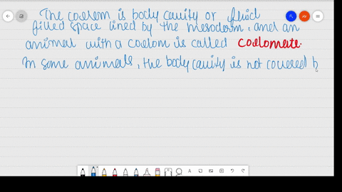 how-useful-is-the-study-of-the-nature-of-body-cavity-and-coelom-in-the-classification-of-animals