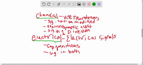 compare-and-contrast-electrical-and-chemical-synapses-2