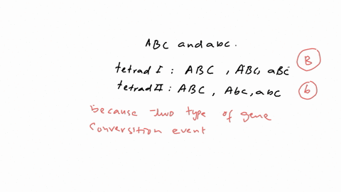 imagine-that-you-have-done-a-cross-between-two-strains-of-yeast-one-of-which-has-the-genotype-a-b-c-