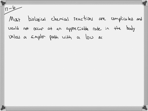 why-are-enzymes-important-for-example-what-is-the-importance-of-the-enzyme-carbonic-anhydrase-in-the