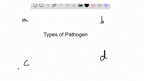 this-type-of-pathogen-may-use-either-dna-or-rna-as-its-genetic-material-a-virus-b-bacterium-c-prio-2