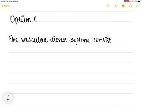 which-one-of-the-following-is-a-type-of-tissue-system-a-parenchyma-b-sclerenchyma-c-vascular-d-all-o