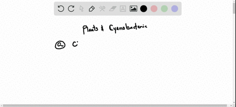 which-of-the-following-components-is-not-used-by-both-plants-and-cyanobacteria-to-carry-out-photos-2