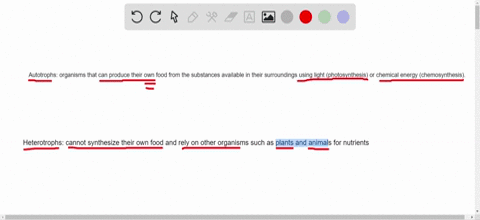 explain-the-difference-between-autotrophs-and-heterotrophs-chapter-2