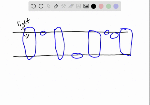 in-the-light-dependent-reactions-______-a-carbon-dioxide-is-fixed-b-atp-and-nadph-form-c-mathrmco_2-