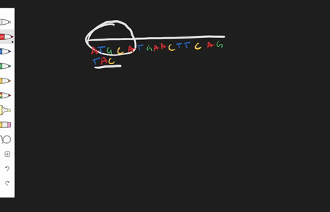 dna-replication-requires-_______-a-dna-polymerase-b-nucleotides-c-primers-d-all-are-required