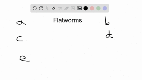 which-organ-system-is-absent-in-flatworms-phylum-platyhelminthes-a-nervous-system-b-reproductive-s-2