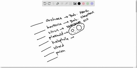 match-the-terms-with-their-most-suitable-description-____________archaea-____________bacteria-______