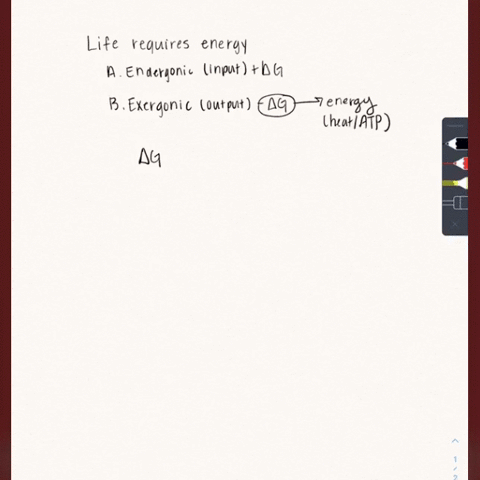 life-requires-energy-in-a-short-essay-100-150-words-describe-the-basic-principles-of-bioenergetics-i