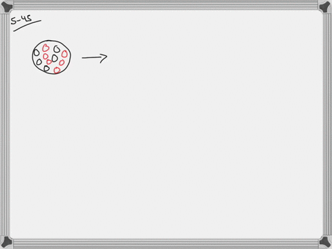 a-nucleus-is-shown-with-protons-and-neutrons-draw-the-new-nucleus-when-this-isotope-emits-a-positron